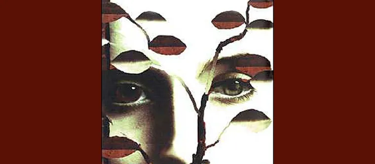 Whatever Happened to the Young Adult of Tomorrow?